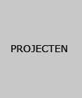 Projecten